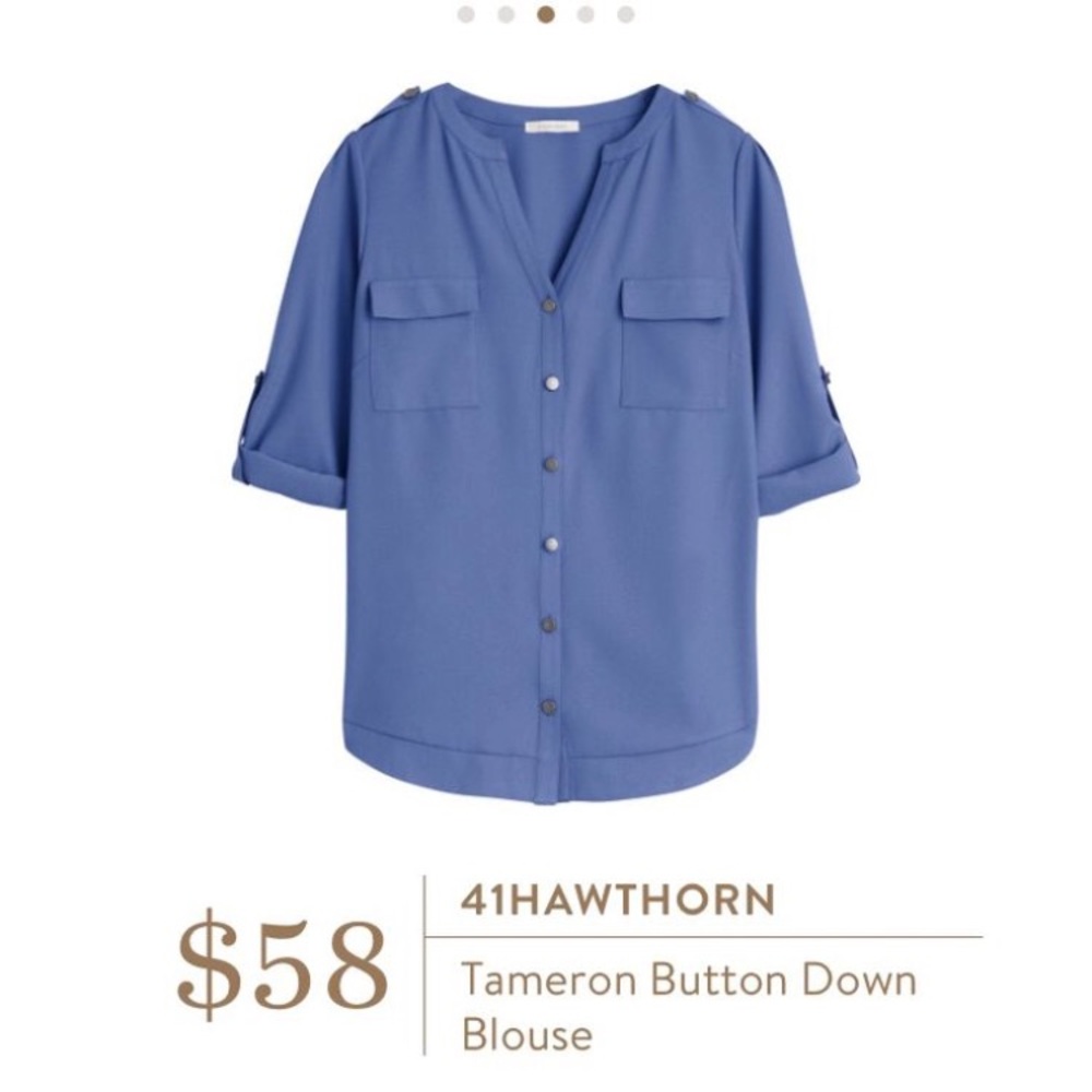 41 Hawthorn button down blouse